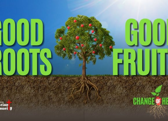 Change of Heart Part 3: Good Roots, Good Fruits